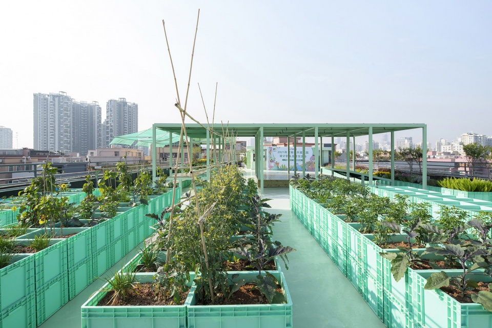 Co build Roof Garden Green Cloud Garden China by 11ARCHITECTURE