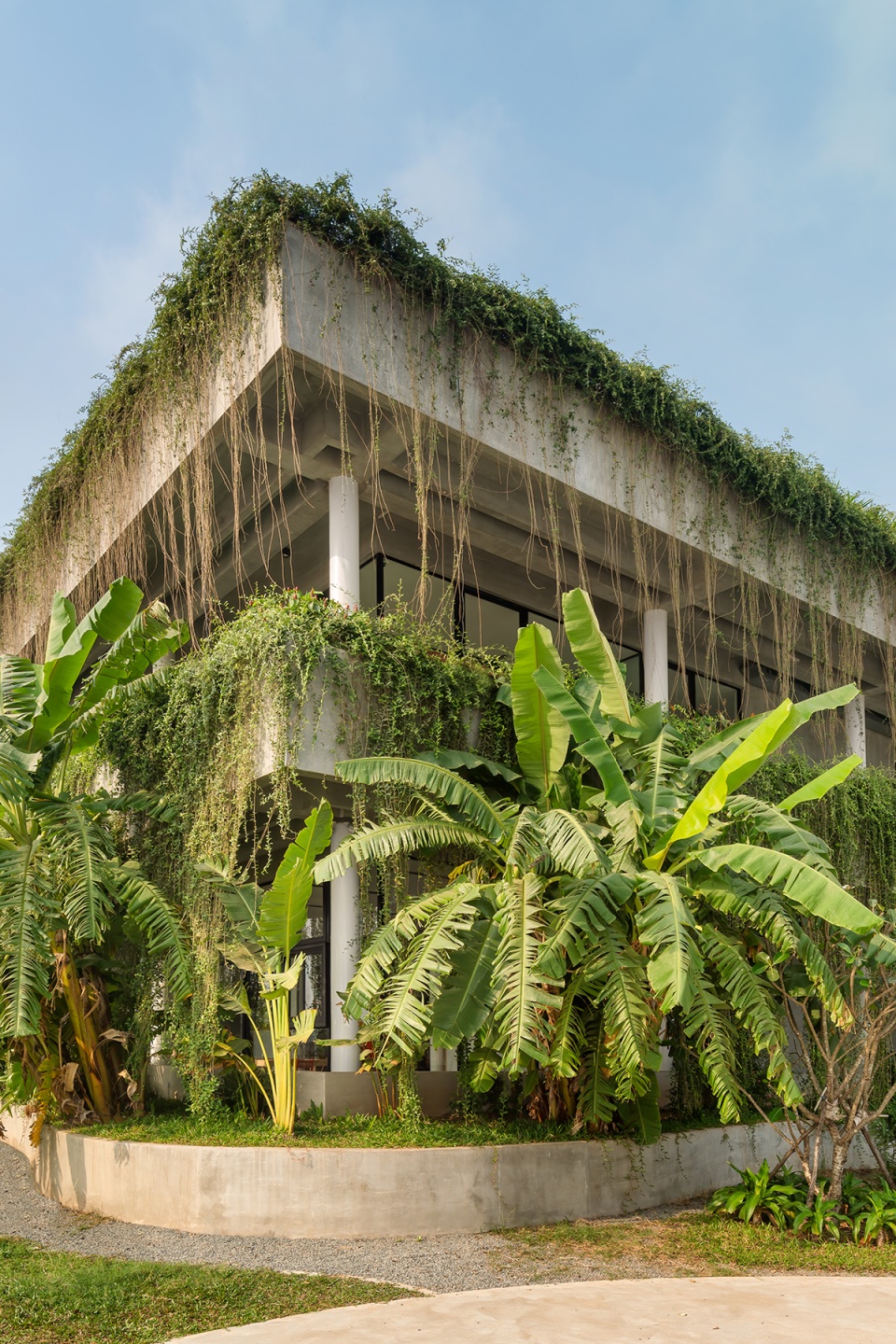 coconut club park cambodia by t3 architects