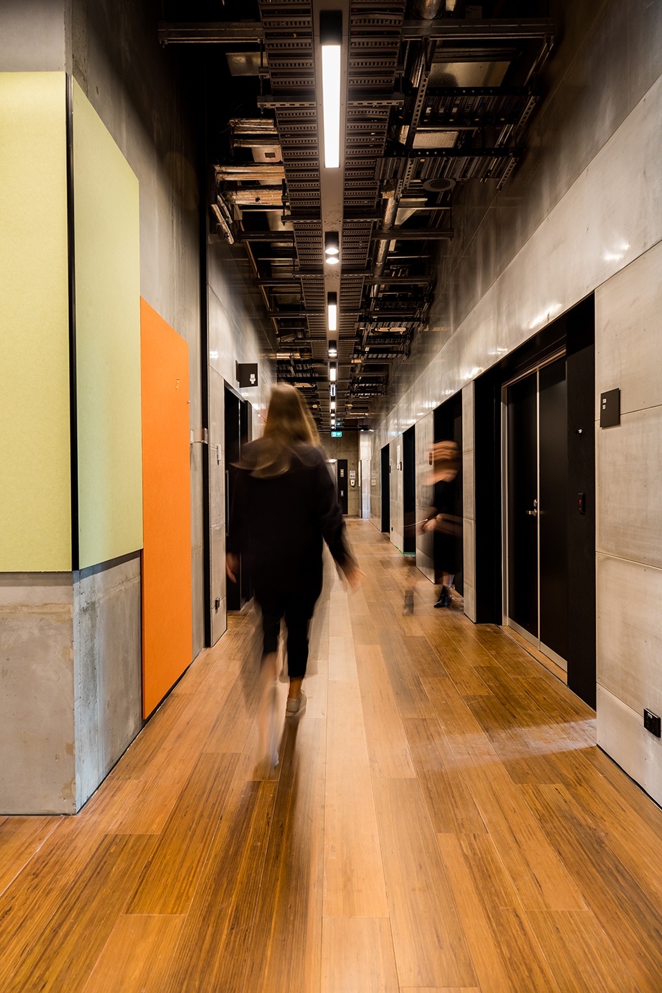 the hedberg by liminal studio woha