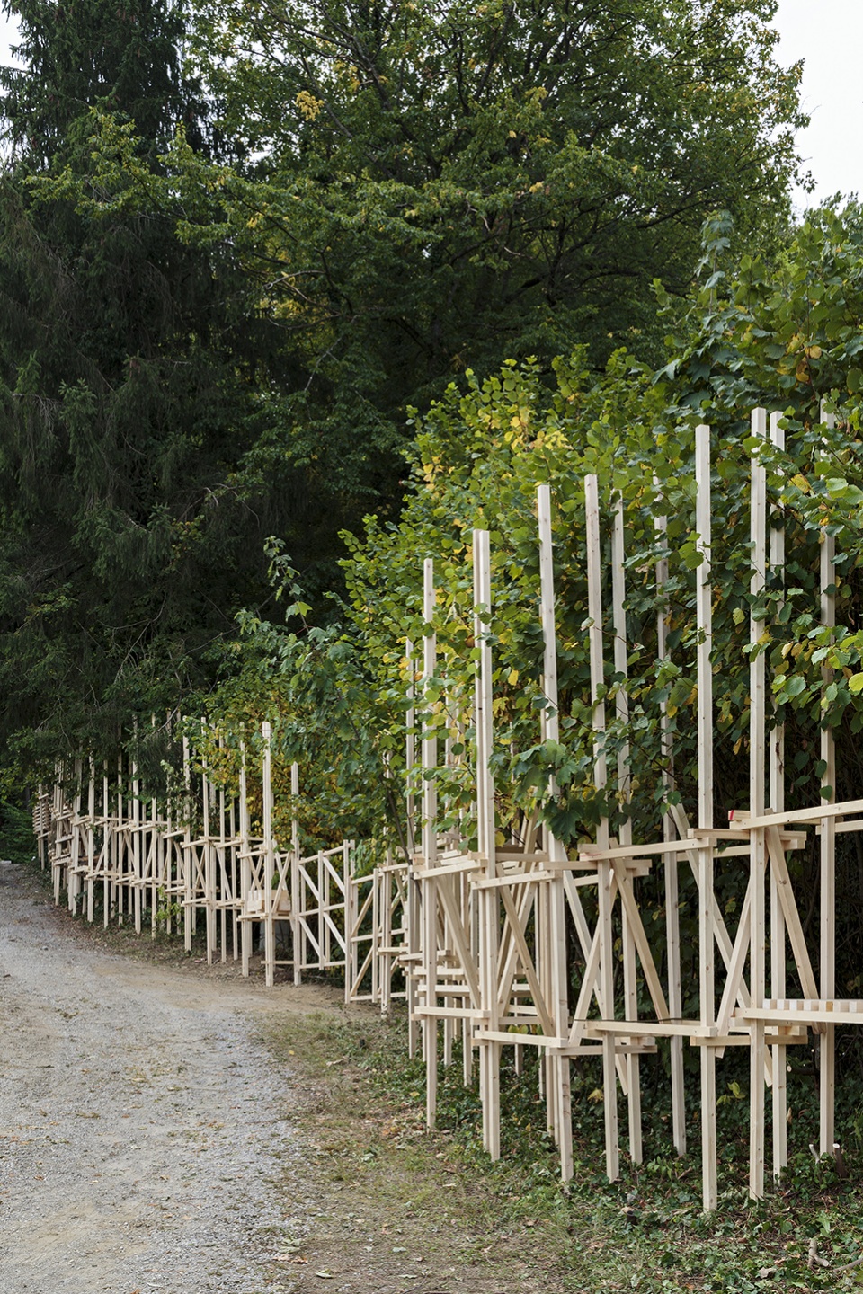 all year round cultural campus by aa nanotourism visiting school