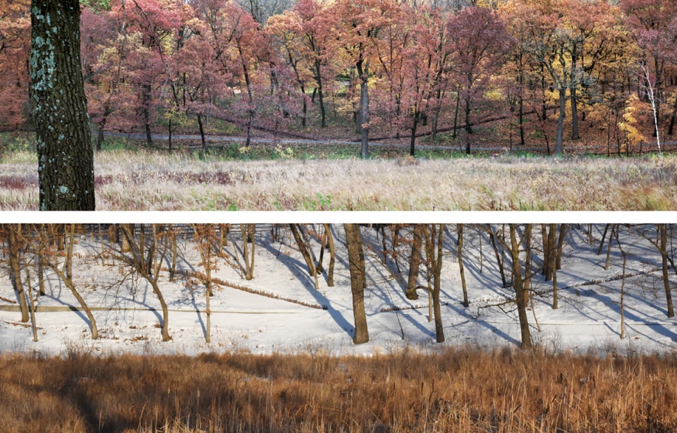 2020 asla residential design award of honor lake marion residence connecting art and ecology coenpartners