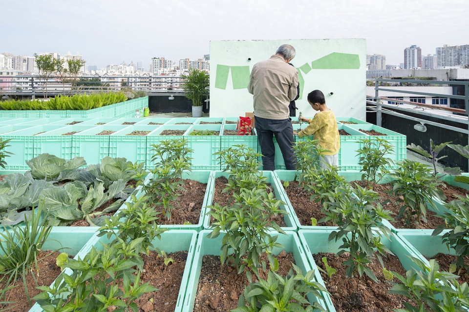 Co build Roof Garden Green Cloud Garden China by 11ARCHITECTURE