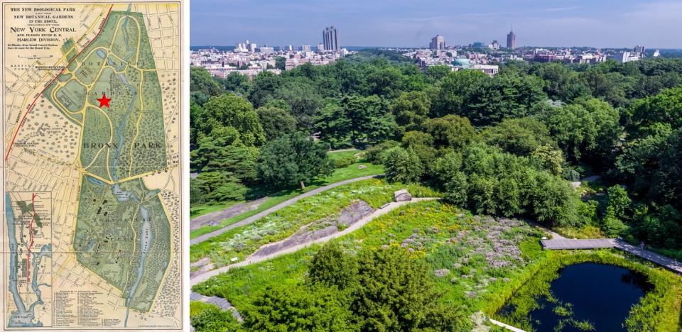 2020 asla general design award of honor the native plant garden at the new york botanical garden ovs