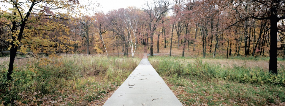 2020 asla residential design award of honor lake marion residence connecting art and ecology coenpartners