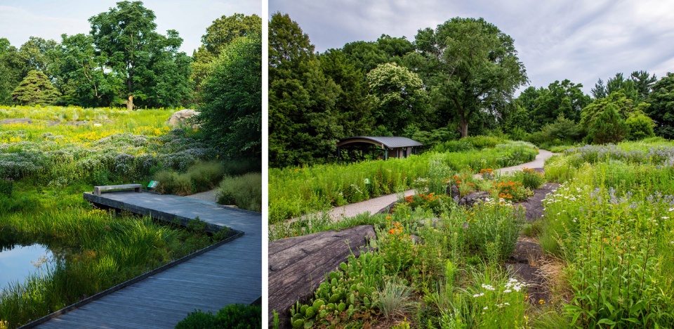 2020 asla general design award of honor the native plant garden at the new york botanical garden ovs