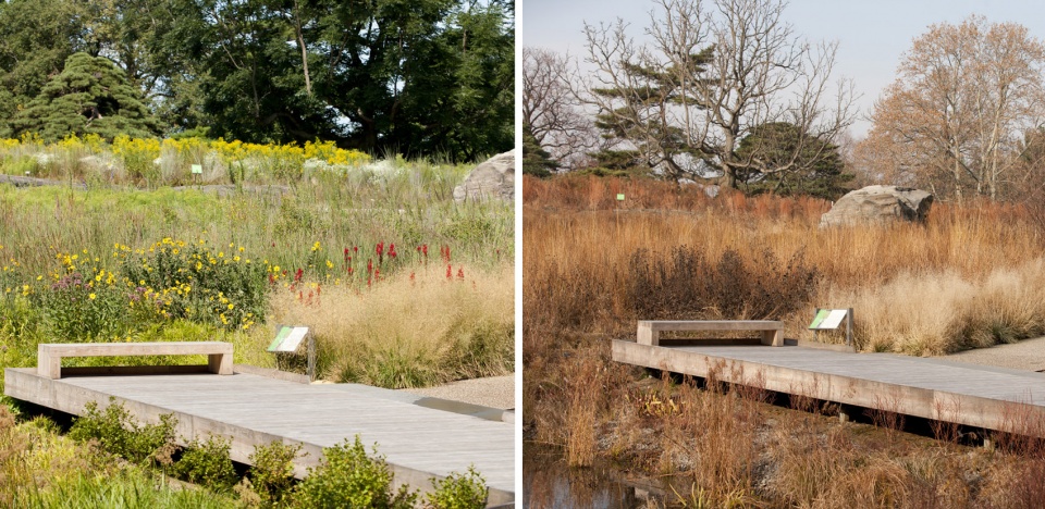 2020 asla general design award of honor the native plant garden at the new york botanical garden ovs