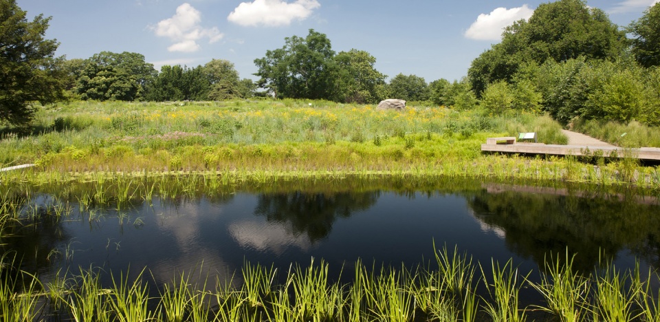 2020 asla general design award of honor the native plant garden at the new york botanical garden ovs