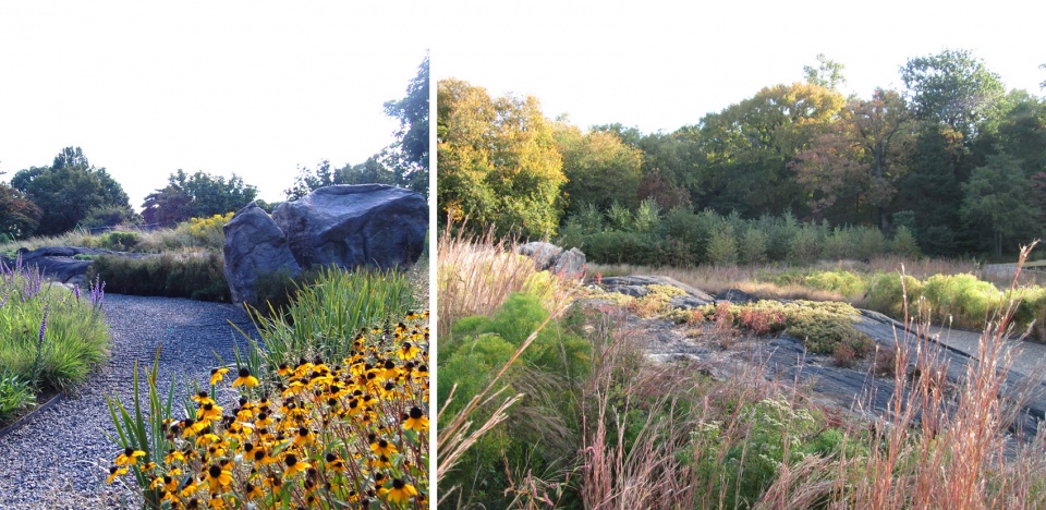 2020 asla general design award of honor the native plant garden at the new york botanical garden ovs
