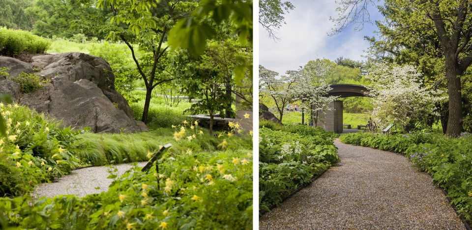 2020 asla general design award of honor the native plant garden at the new york botanical garden ovs
