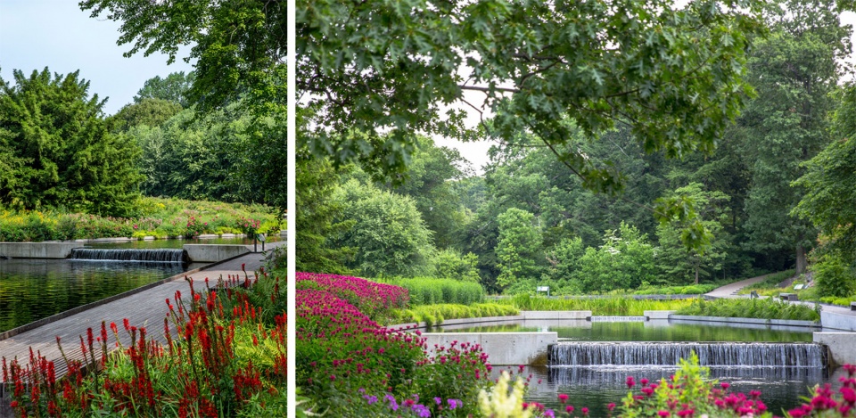 2020 asla general design award of honor the native plant garden at the new york botanical garden ovs