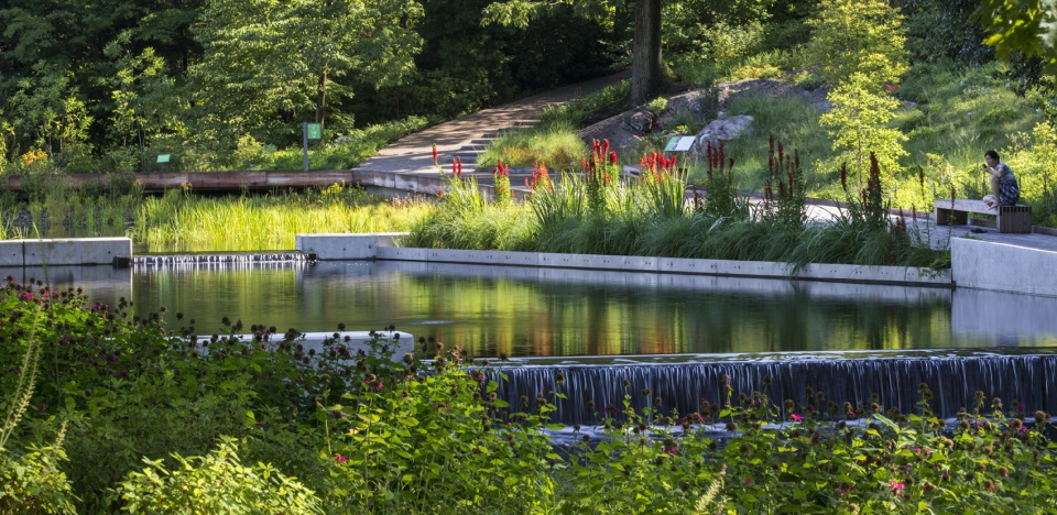 2020 asla general design award of honor the native plant garden at the new york botanical garden ovs