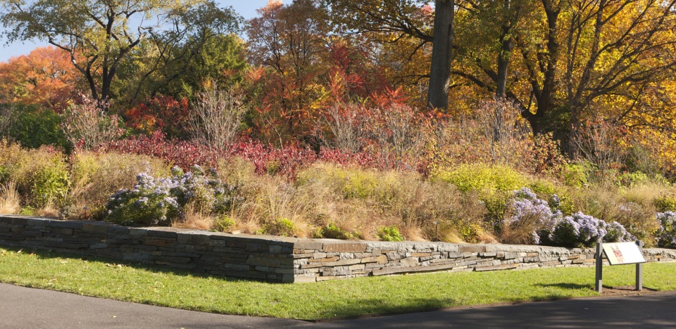 2020 asla general design award of honor the native plant garden at the new york botanical garden ovs