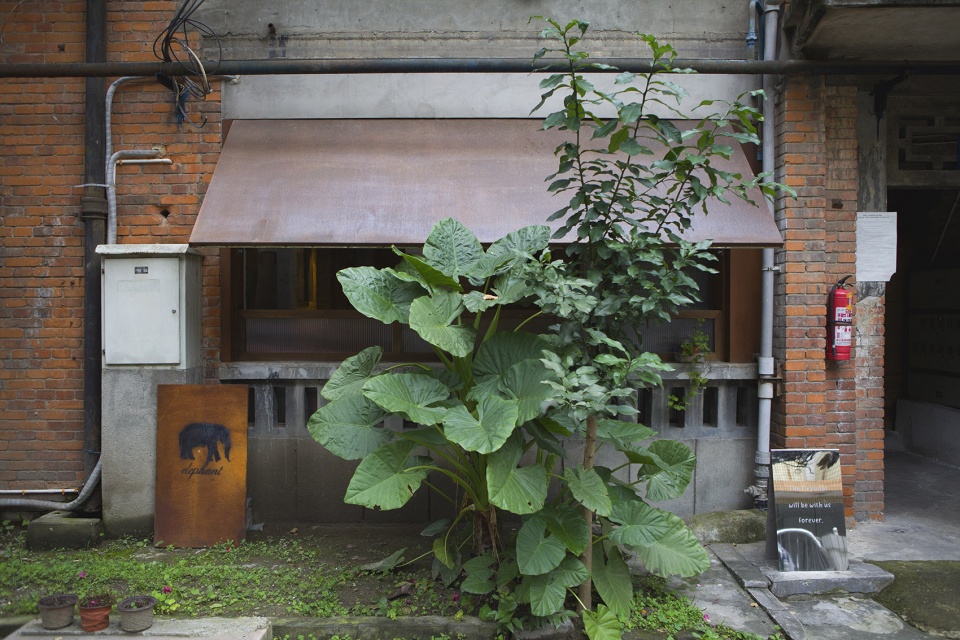 Elephant Cocktail Coffee OMNO