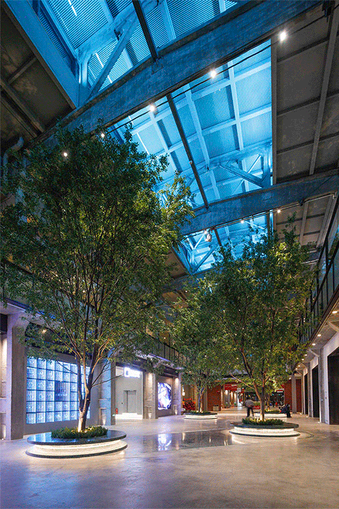 CHANGTUO 1958 Workshop 3 Renovation UV Architecture