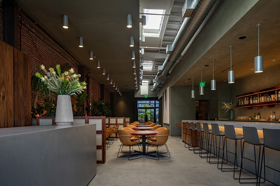 damian restaurant by taller adg estudio mdb 1