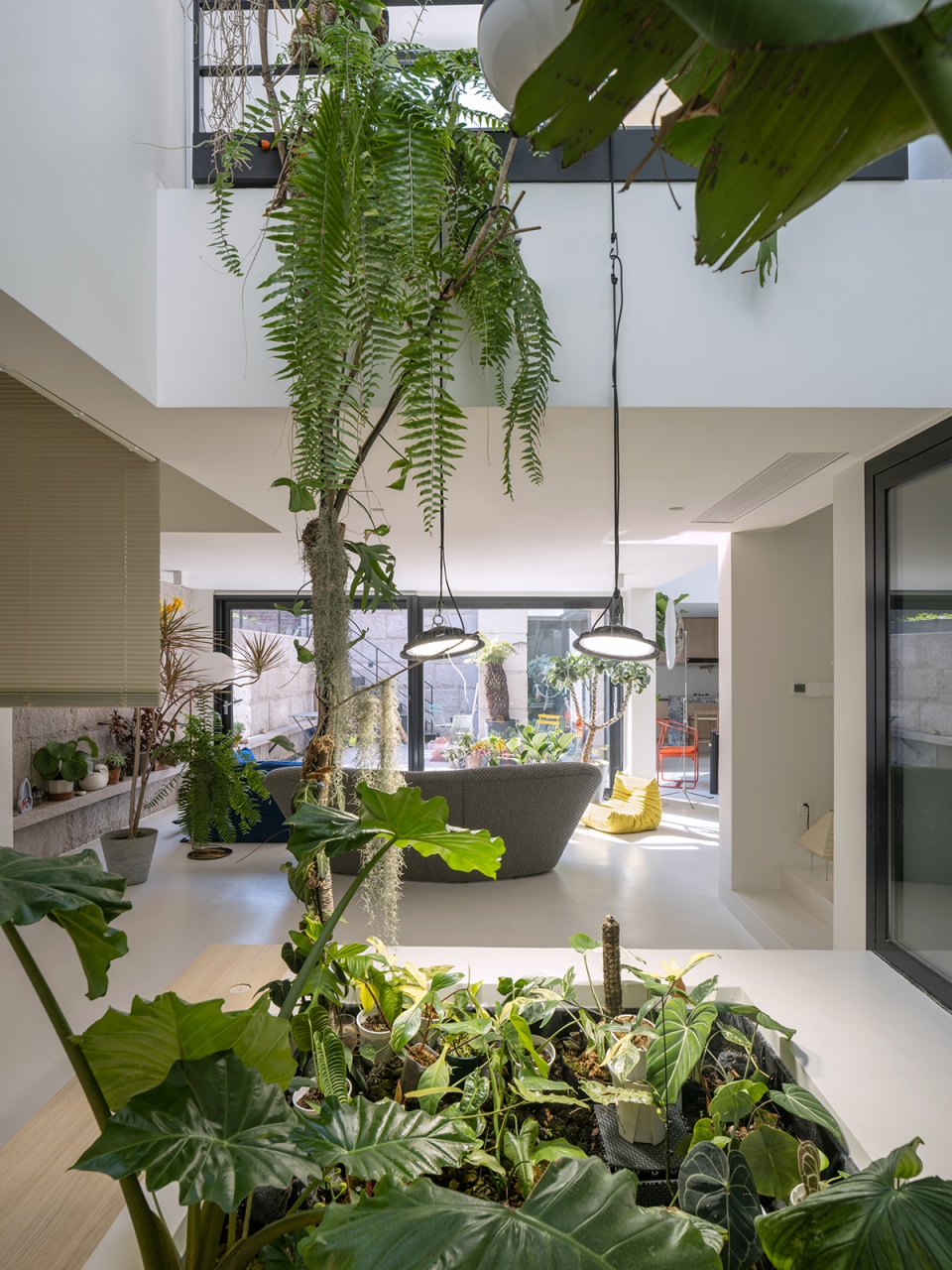 living with plants by manmandesign