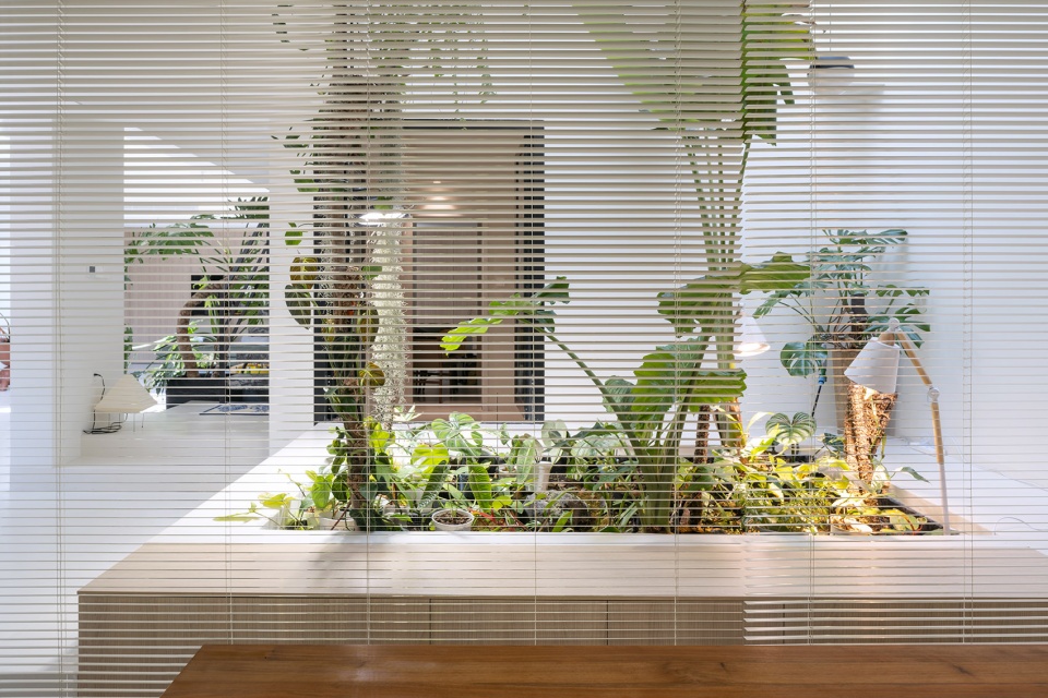 living with plants by manmandesign