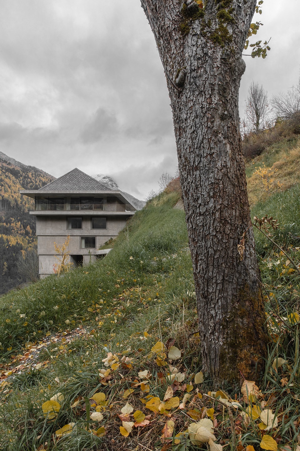 Haus G Pedevilla Architects