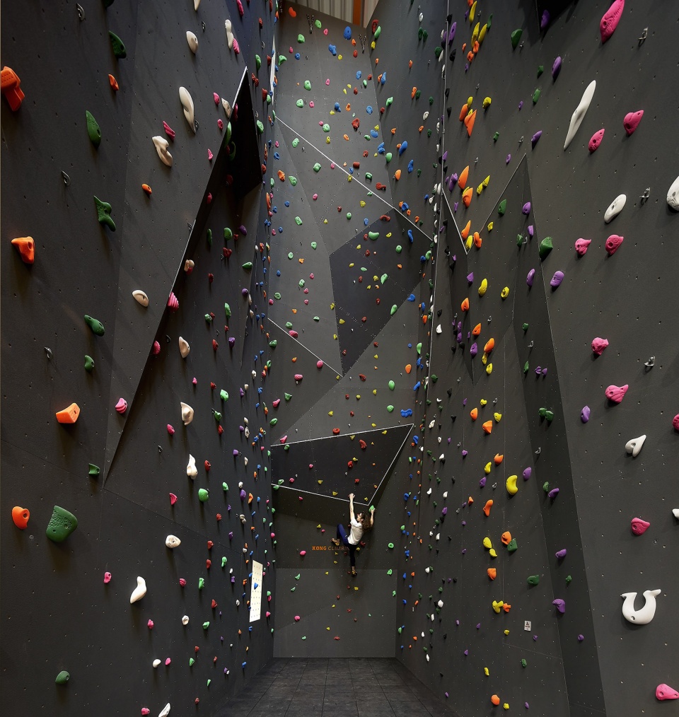 f51 by hollaway studio