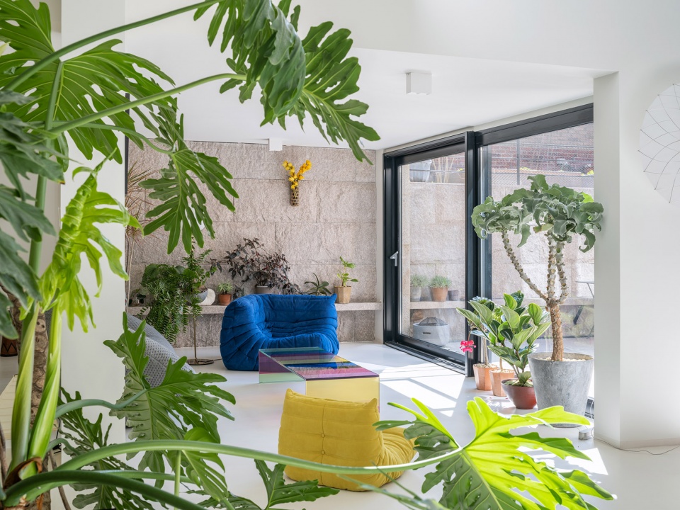 living with plants by manmandesign