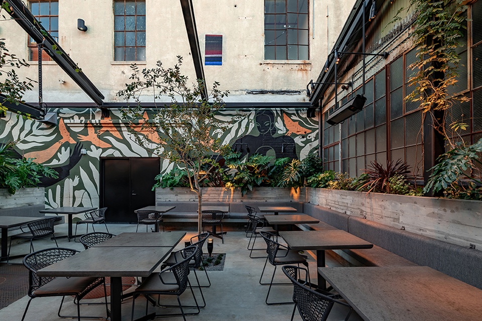 damian restaurant by taller adg estudio mdb 1