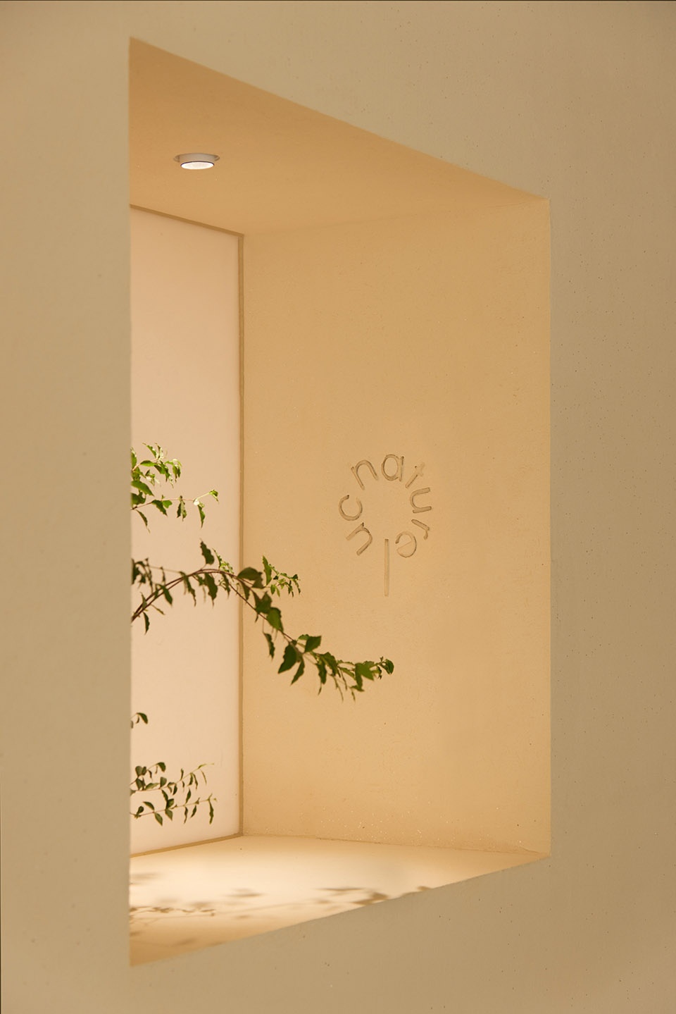 UC Naturel Aroma Lab China by Leaping Creative