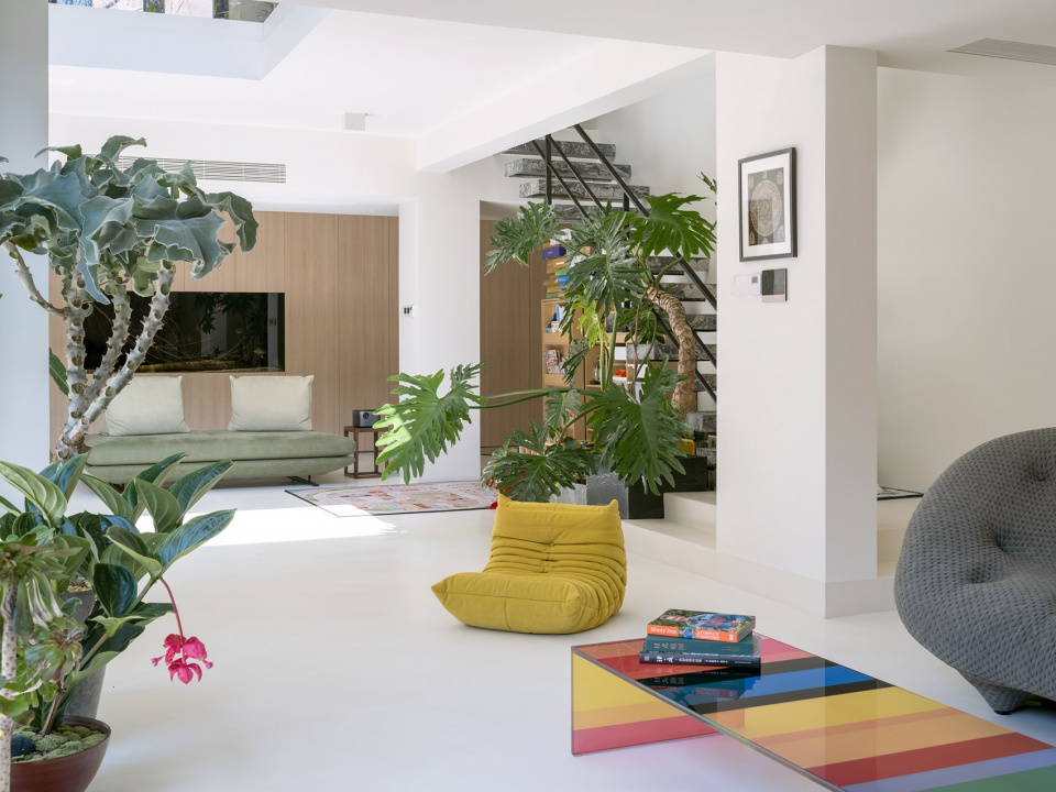 living with plants by manmandesign