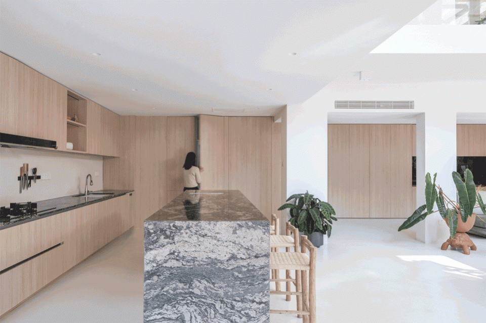 living with plants by manmandesign