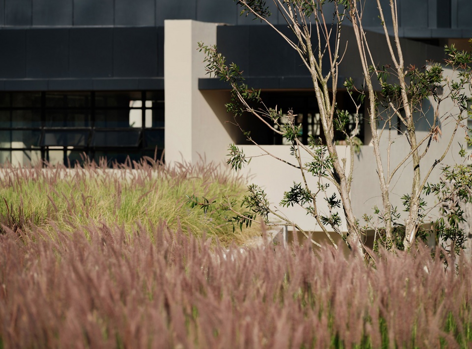 aranya sanya y hotel by wtd group