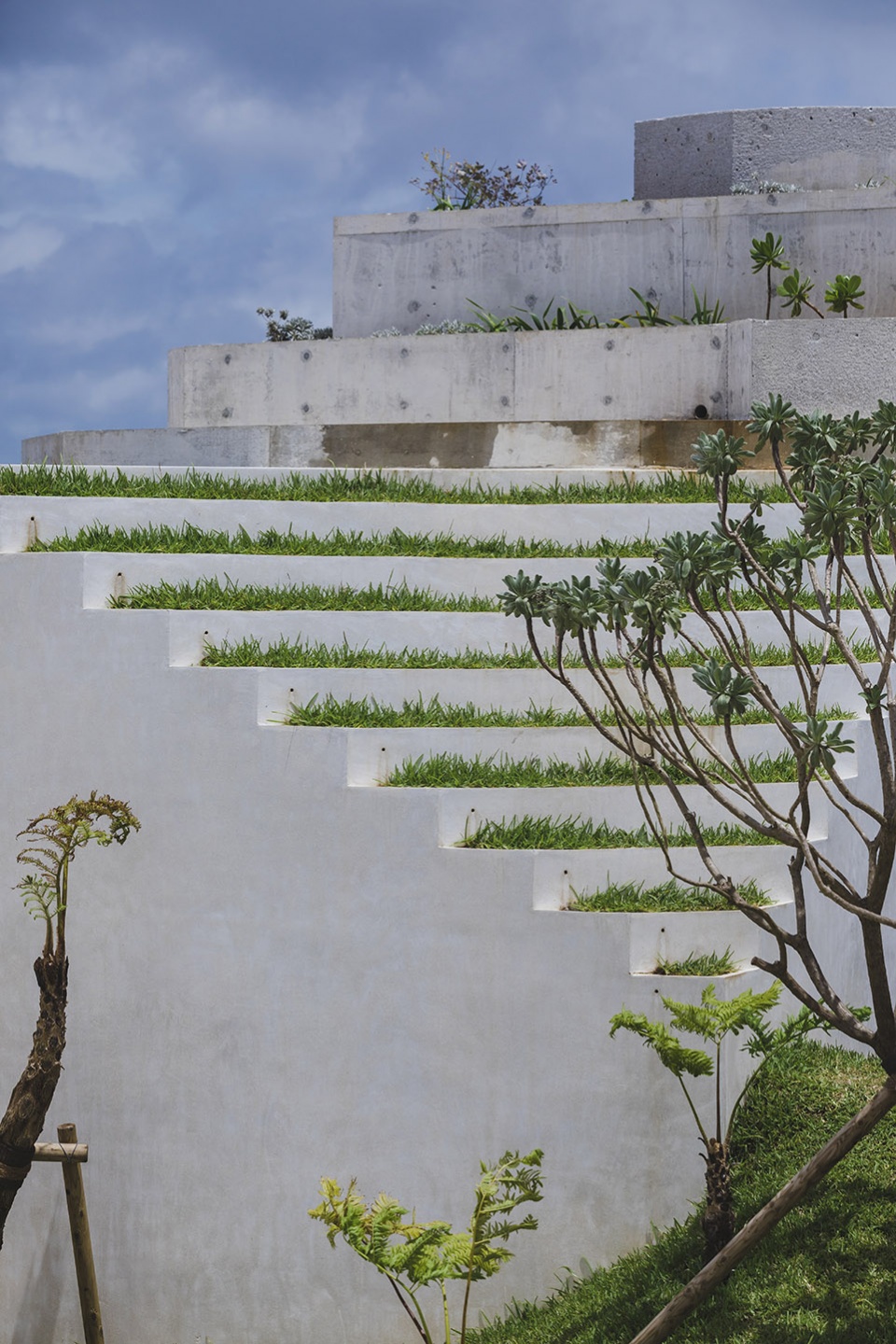 house in nakijin by studio cochi architects