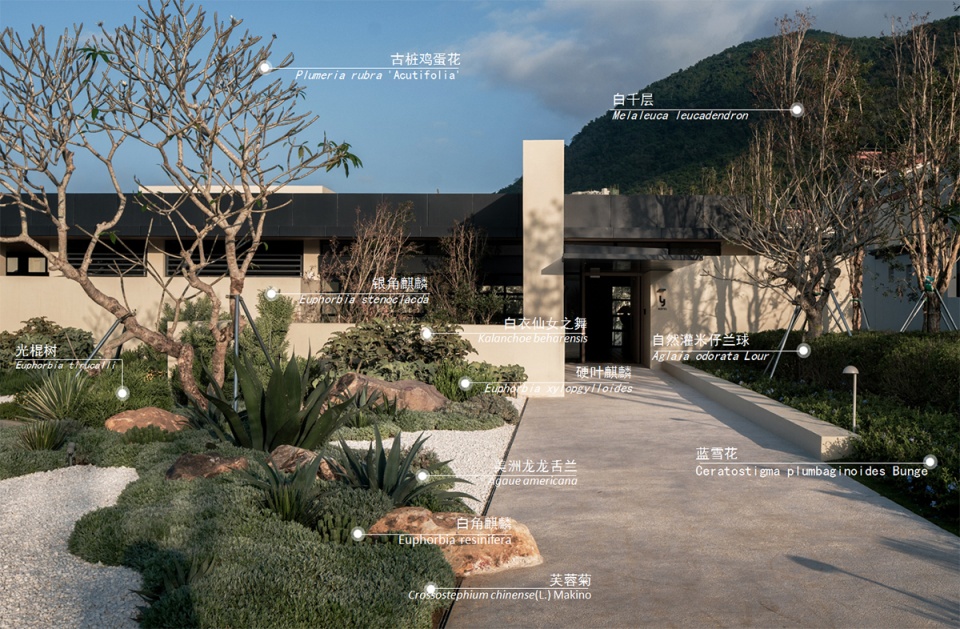 aranya sanya y hotel by wtd group