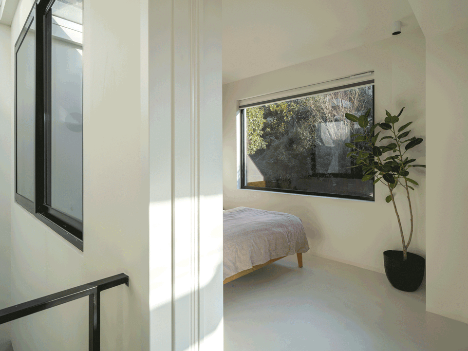 living with plants by manmandesign