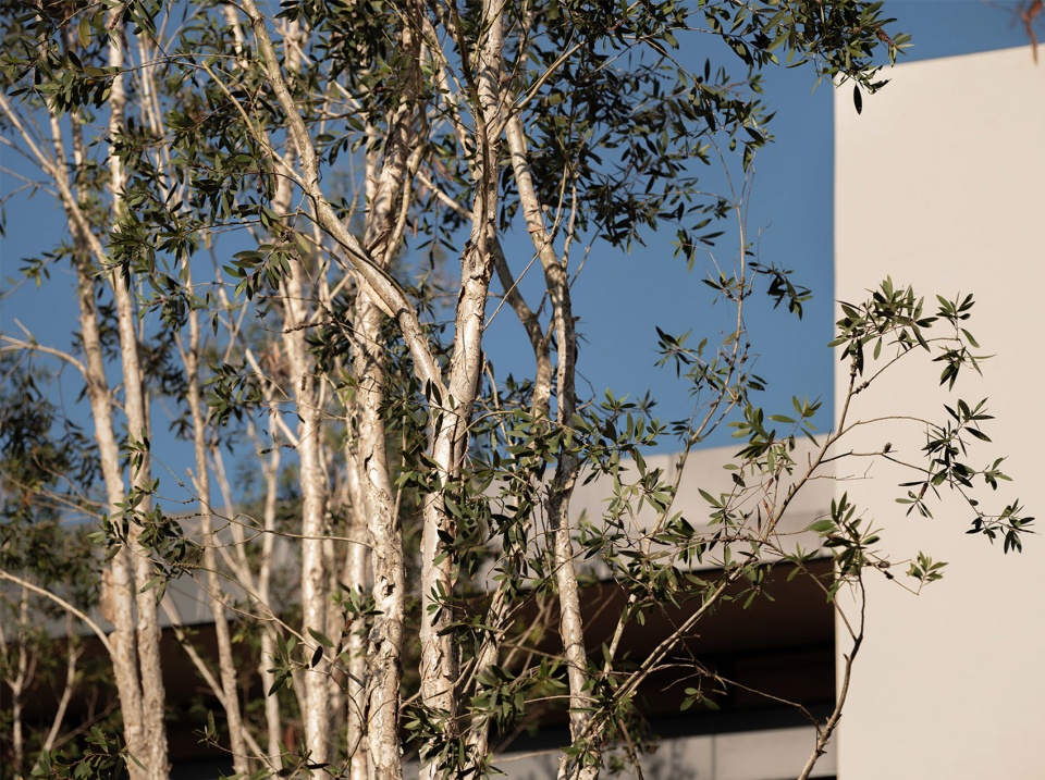aranya sanya y hotel by wtd group