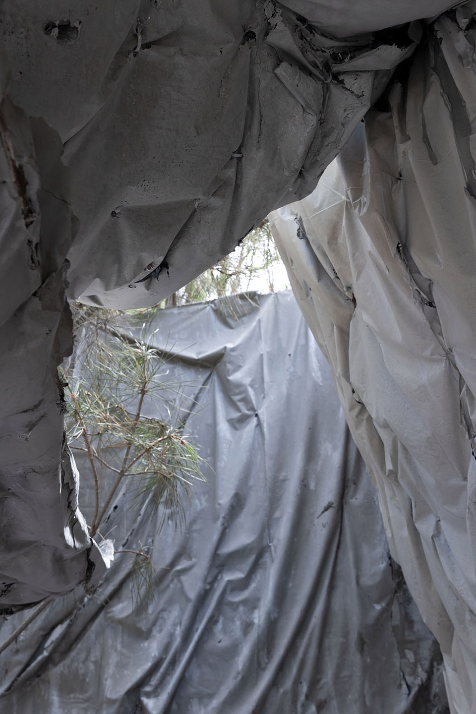 The Tent Ensamble Studio