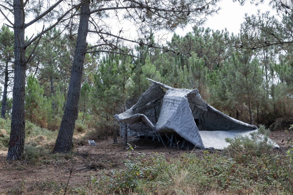 The Tent Ensamble Studio
