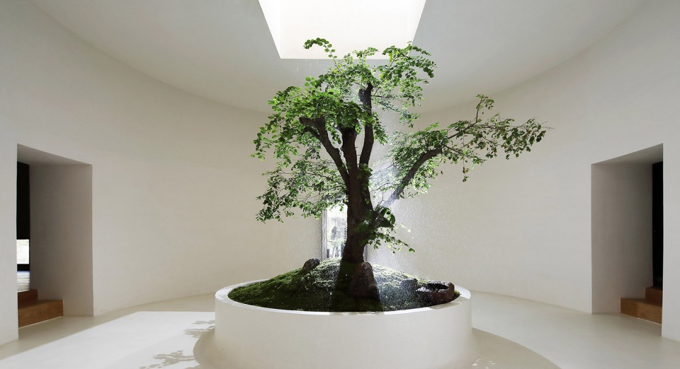Buduo Teahouse Wanmu Shaz