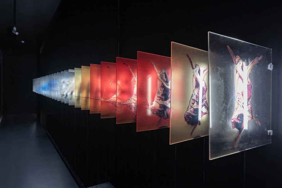 Cloud Art Museum HLD Art Design