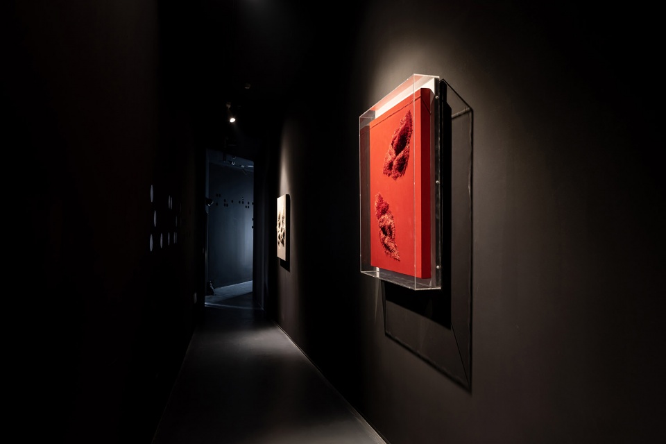 Cloud Art Museum HLD Art Design