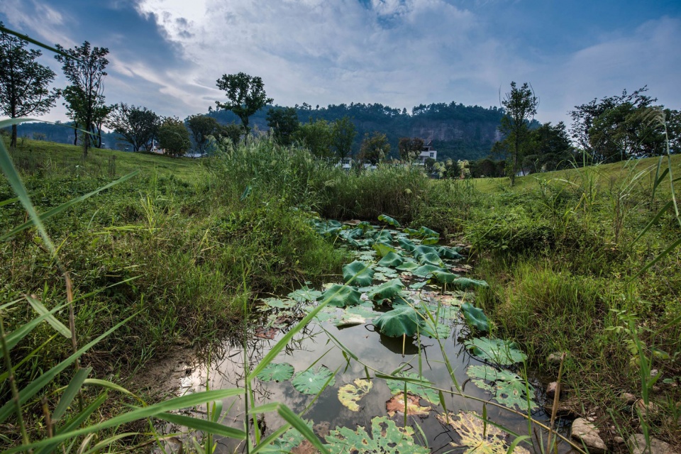 yichang huangbai river wetland park china by hangzhou landscape architecture design institute