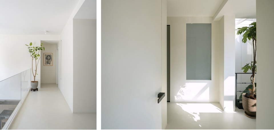 living with plants by manmandesign