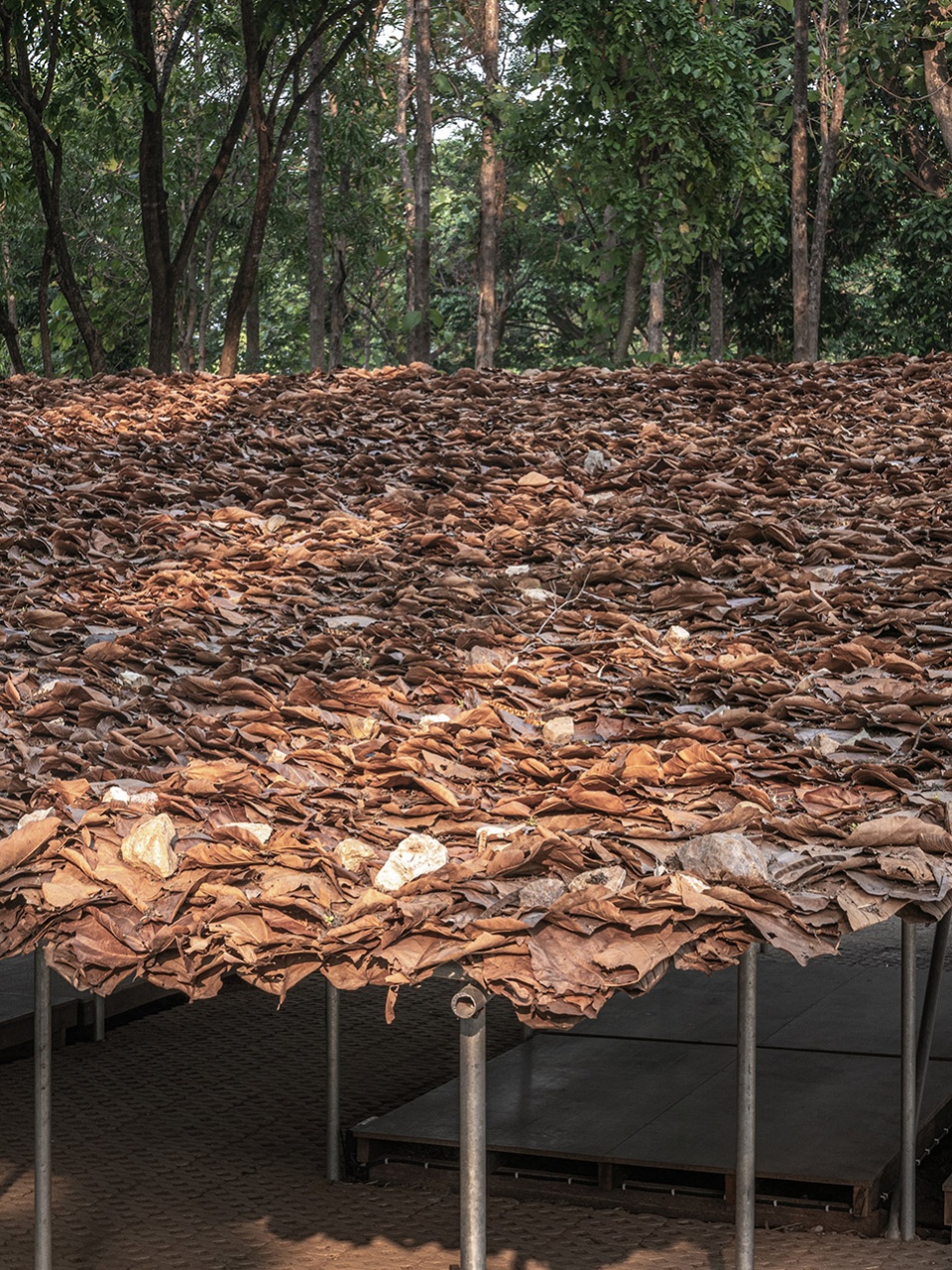 folly in the forest by bangkok tokyo architecture