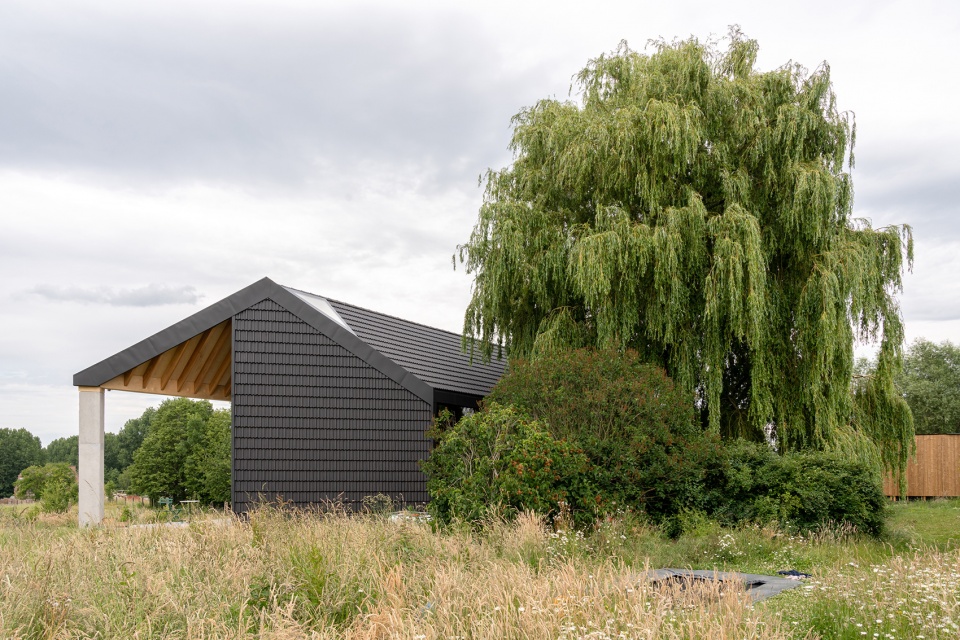 under the willow tree house by objekt architecten