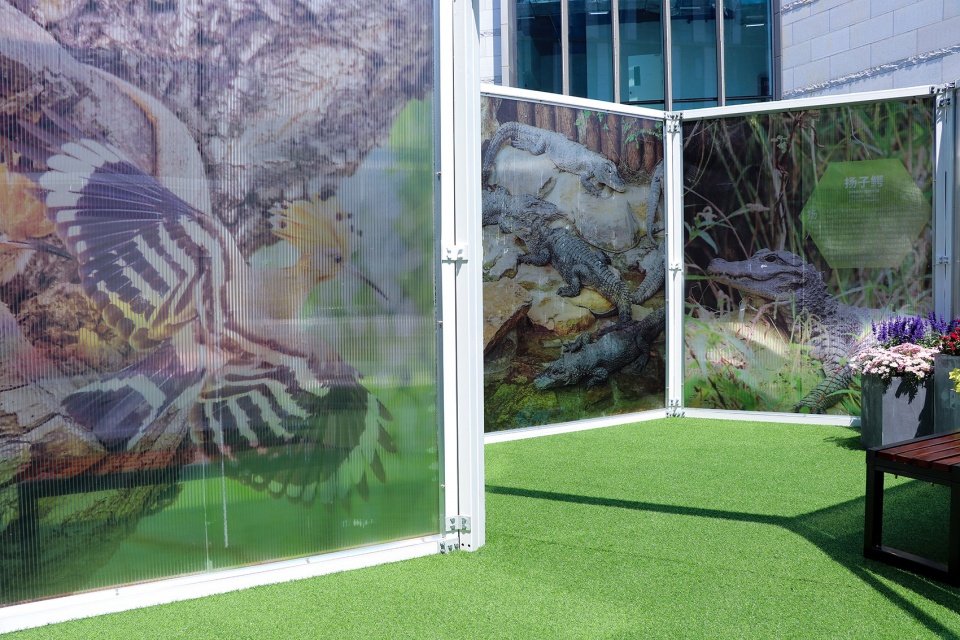Yuhua Pop up Park China by SUYI Design Group