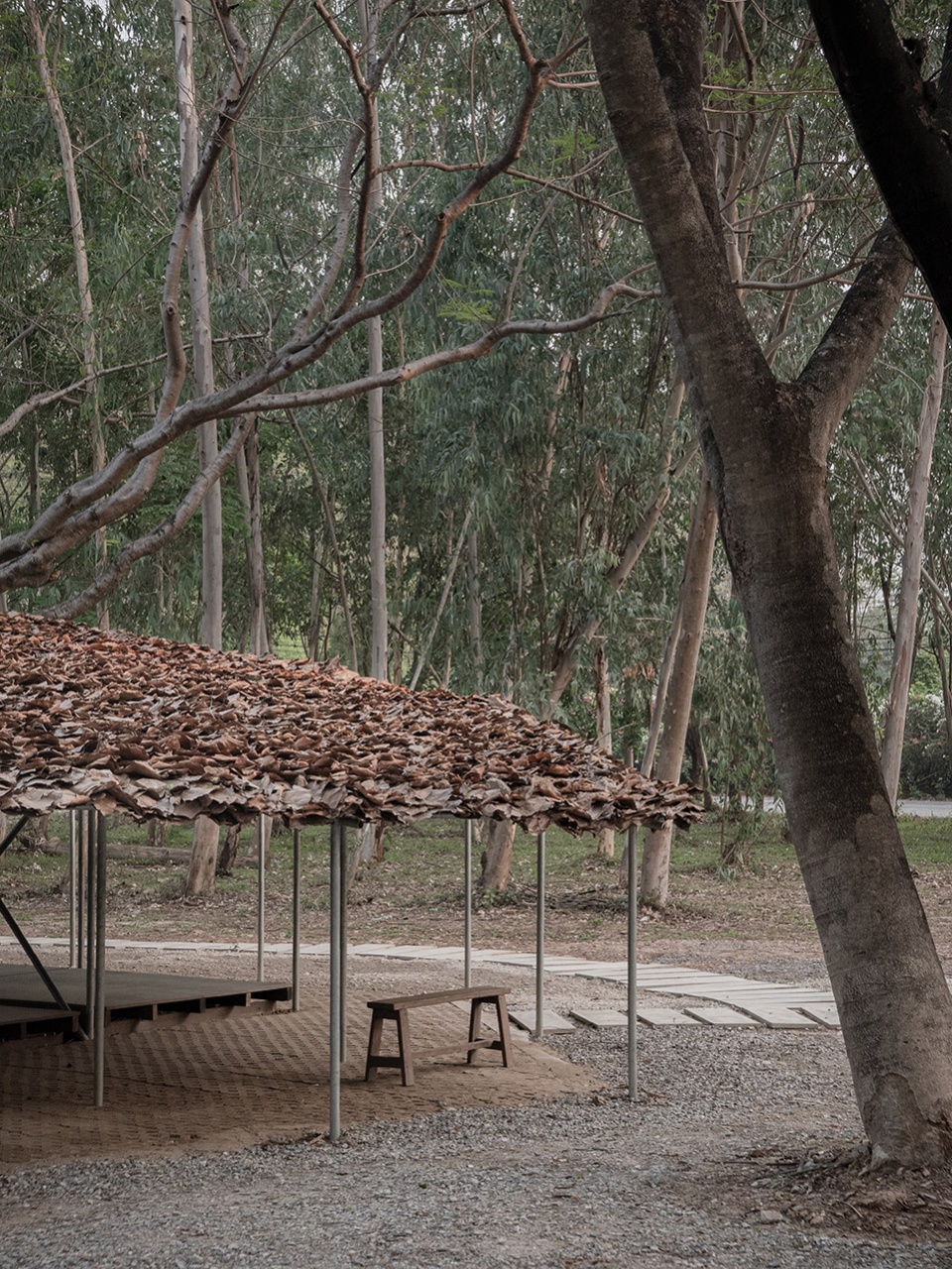 folly in the forest by bangkok tokyo architecture