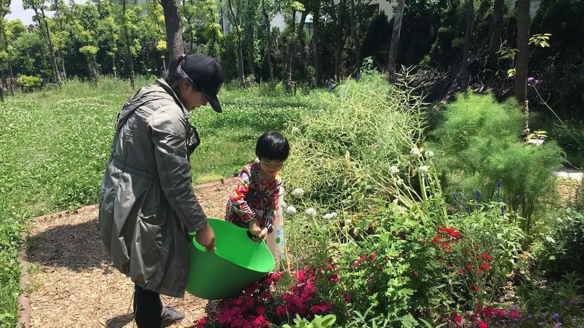 rumble community garden liu yuelai