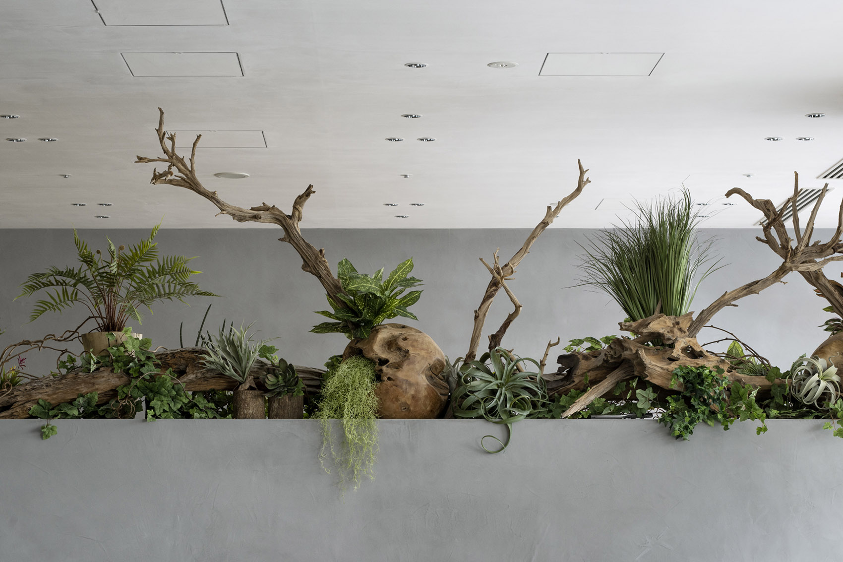 nook by Koyori Architects