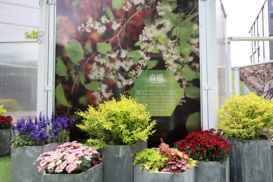 Yuhua Pop up Park China by SUYI Design Group