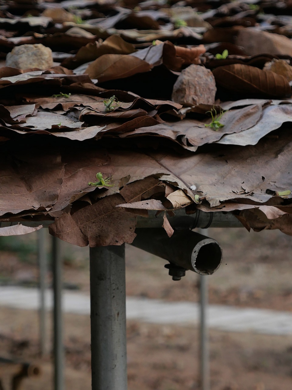 folly in the forest by bangkok tokyo architecture