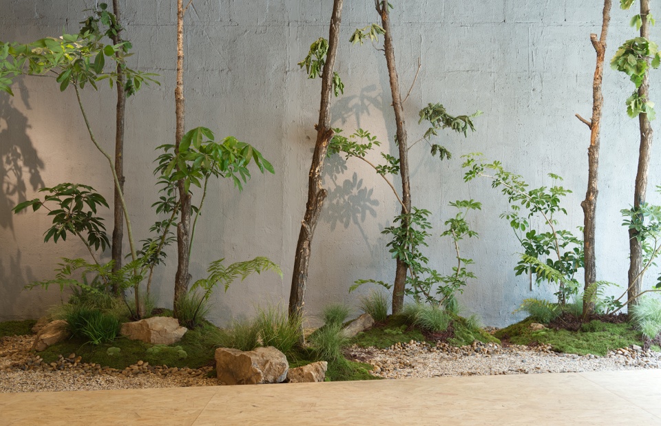 longhas origins shop china by ing architecture studio