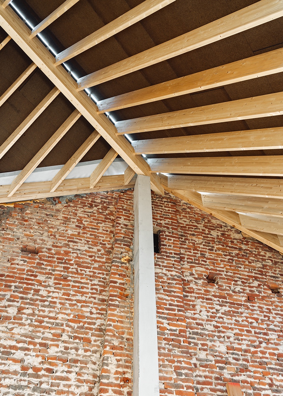 under the willow tree house by objekt architecten 1